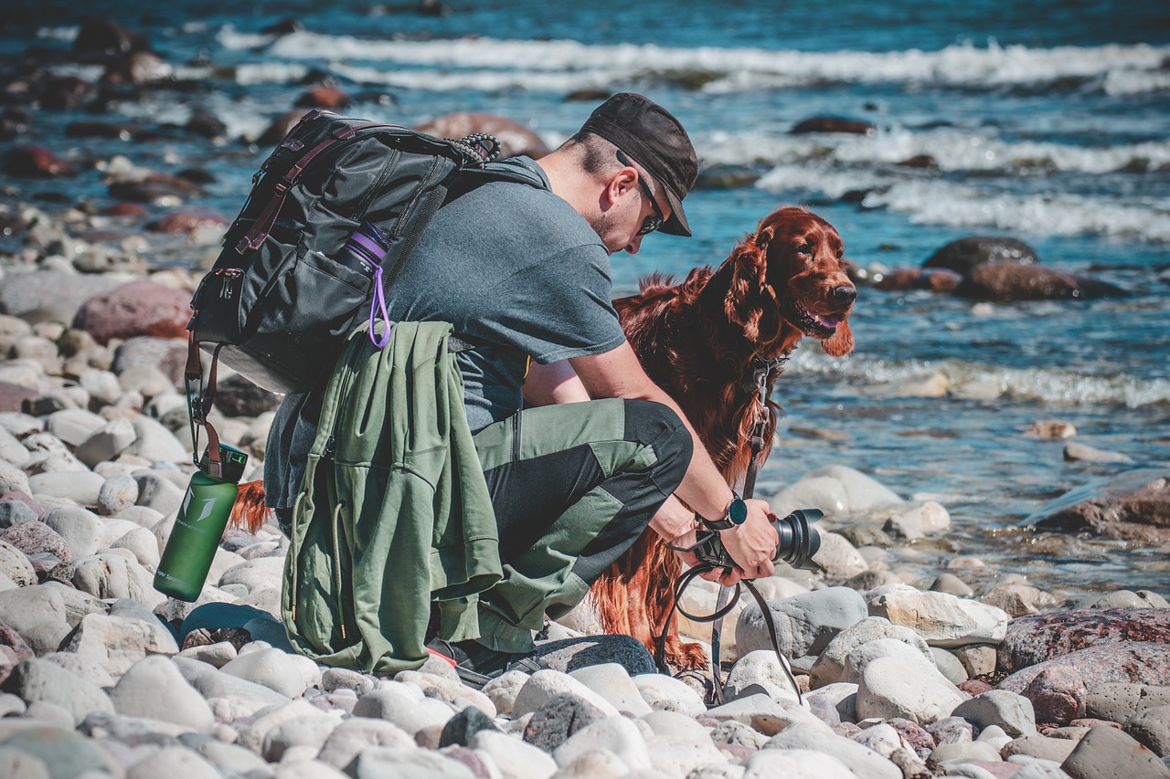 Exploring the Unique Traits of the Irish Setter